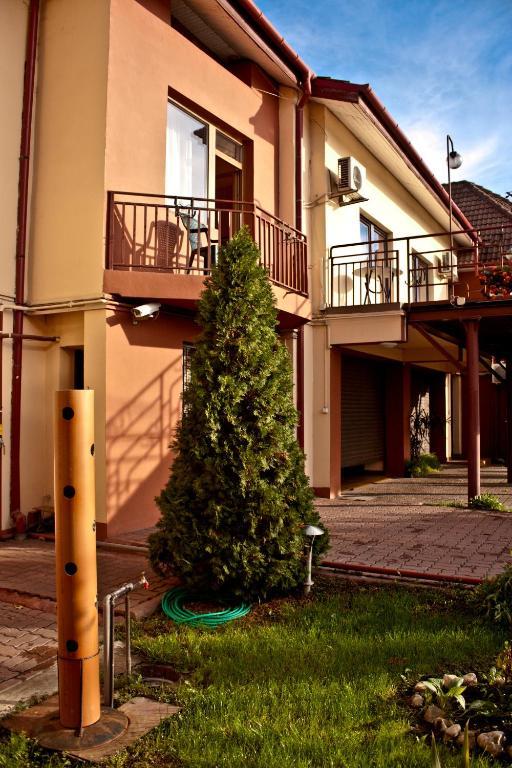 טימישוארה Pensiunea Vlad Home מראה חיצוני תמונה